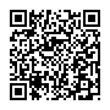 QR code for 9119625
