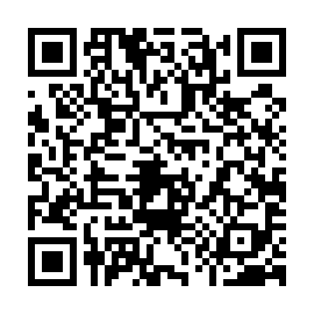 QR code for 9145993