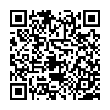 QR code for 9153831