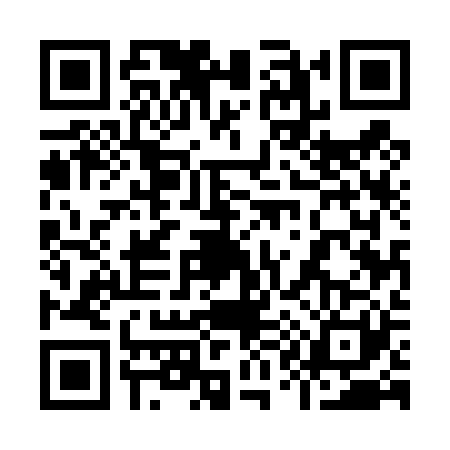 QR code for 9154219