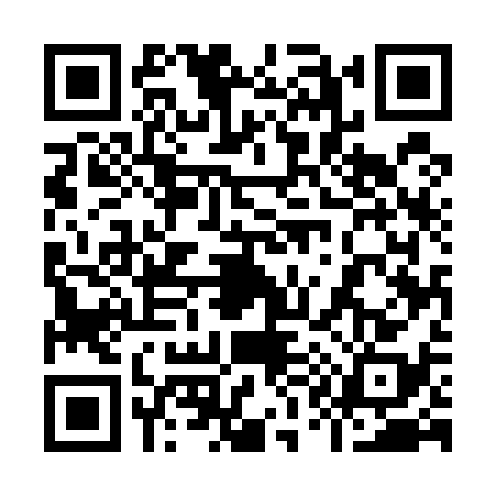 QR code for 9155384