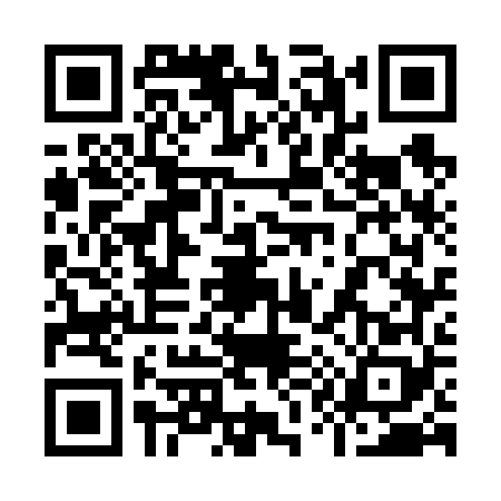 QR code for 9176687