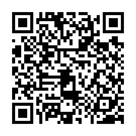 QR code for 9196287