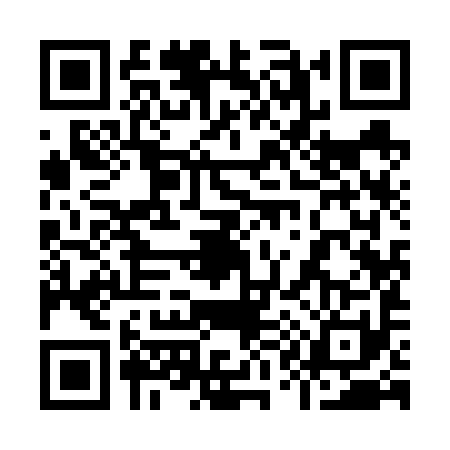 QR code for 9196915