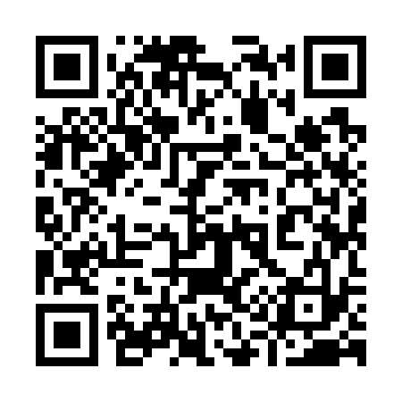 QR code for 919733