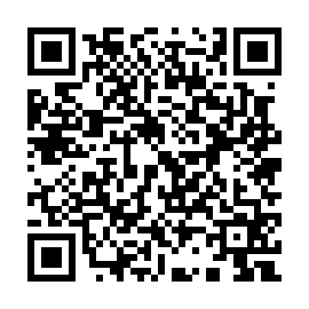 QR code for 9250645