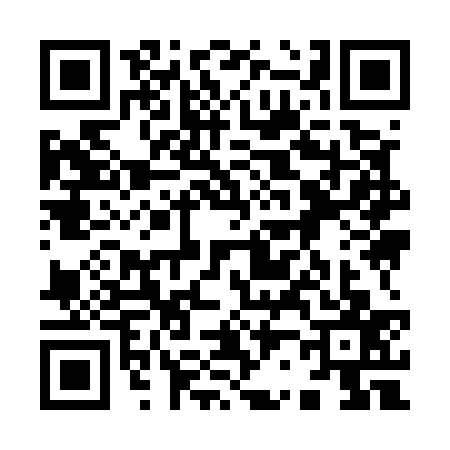 QR code for 9295379