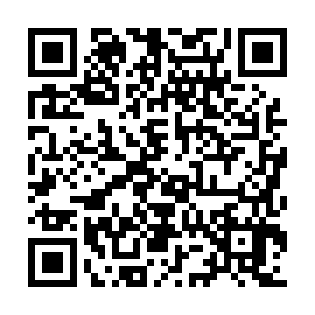 QR code for 9500870