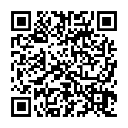 QR code for 9501248