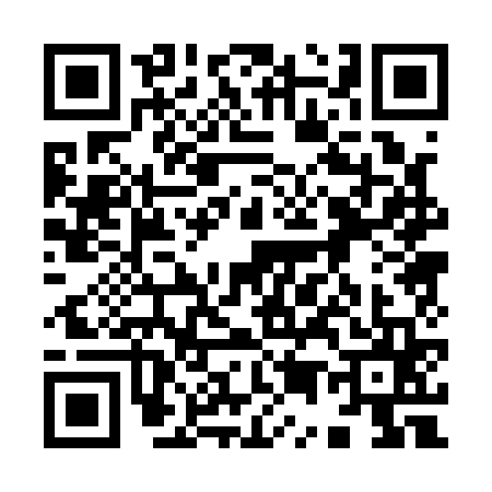 QR code for 9501653