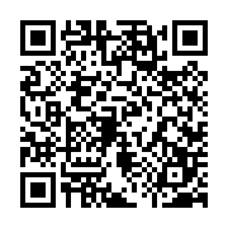 QR code for 9560069