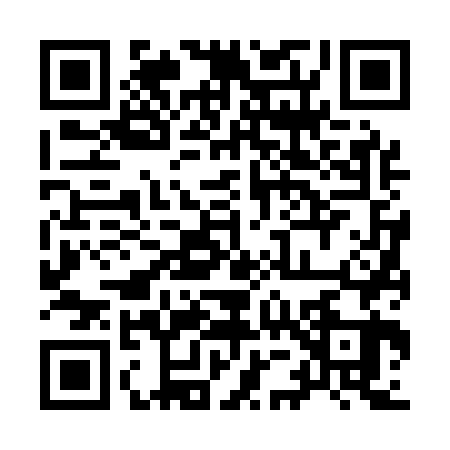 QR code for 9561639