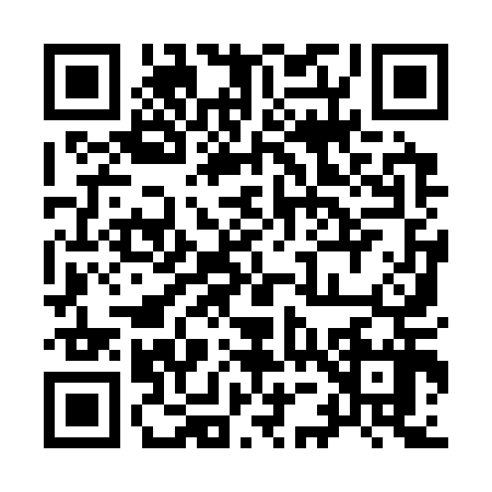 QR code for 9593171