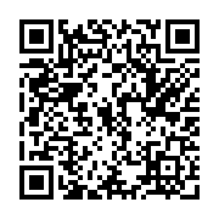 QR code for 9593203
