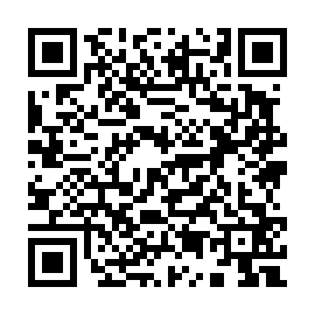 QR code for 9594627