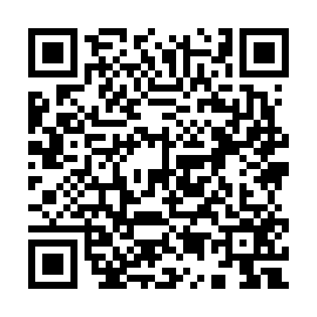 QR code for 9596565