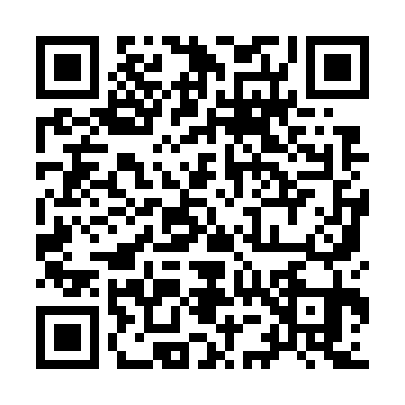 QR code for 9597317