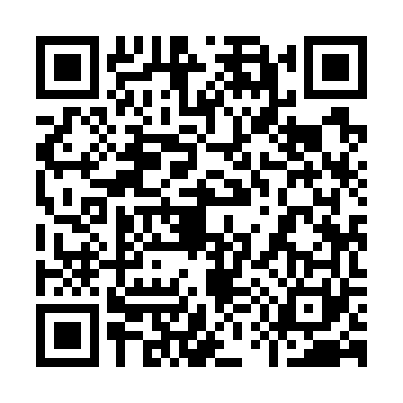 QR code for 9597617