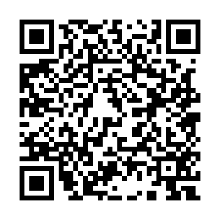 QR code for 9601561