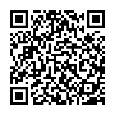 QR code for 960919