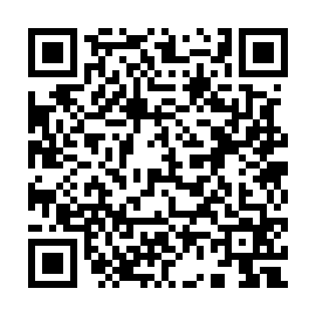 QR code for 9635645