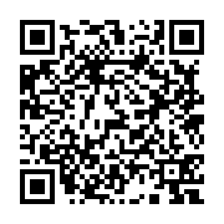QR code for 9638313