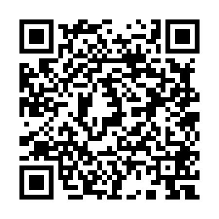 QR code for 9638483