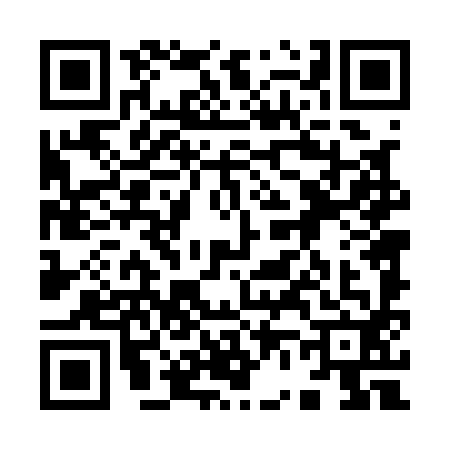 QR code for 9641928