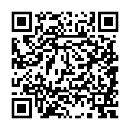 QR code for 9645811