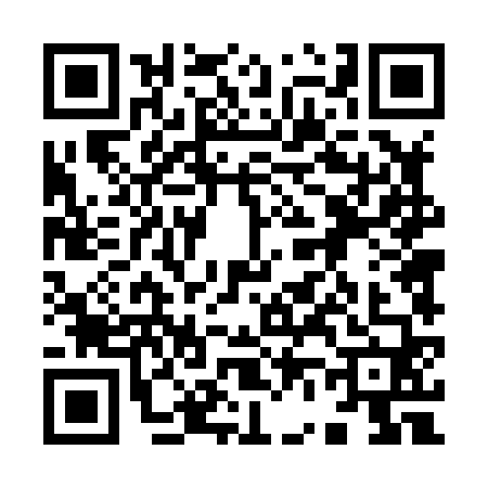 QR code for 9648606