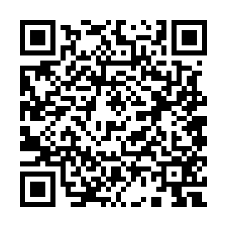 QR code for 9665565