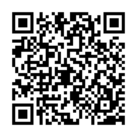QR code for 9668168