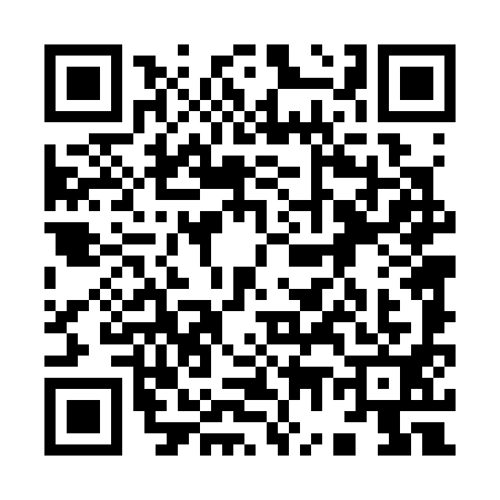 QR code for 9743919