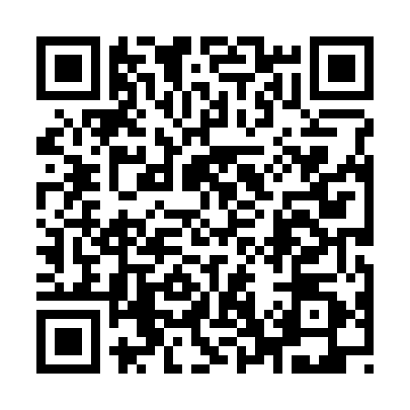 QR code for 9783500