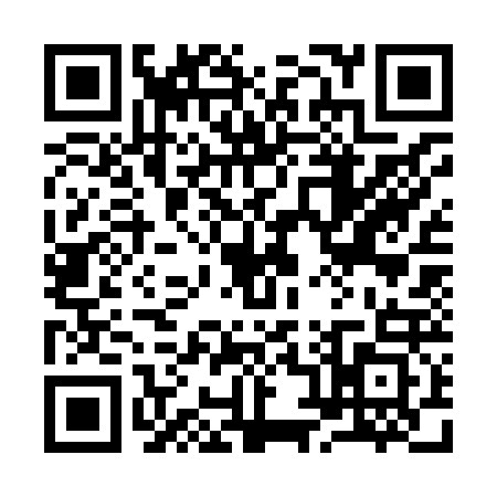 QR code for 9838237