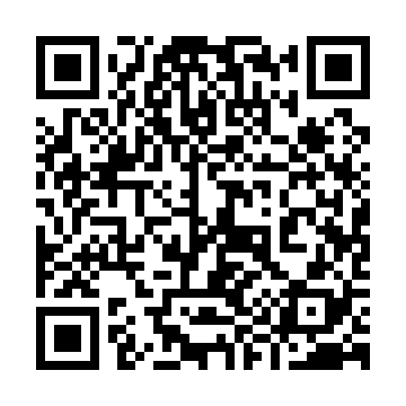QR code for 991128