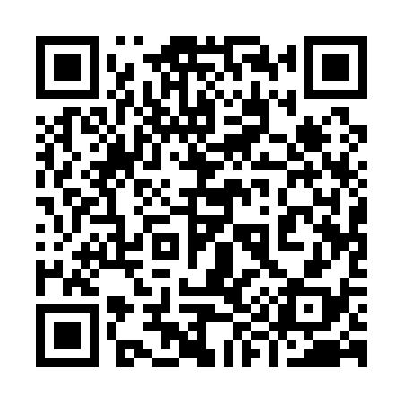 QR code for 991138