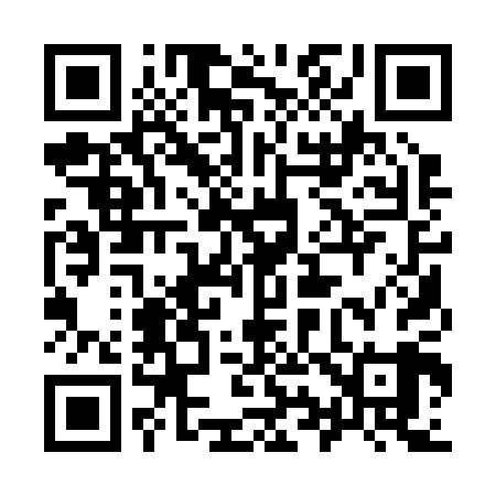 QR code for 991209