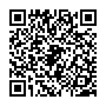 QR code for 9938491