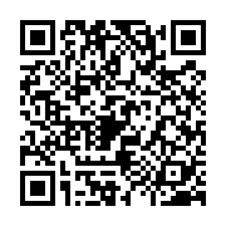 QR code for 9955291