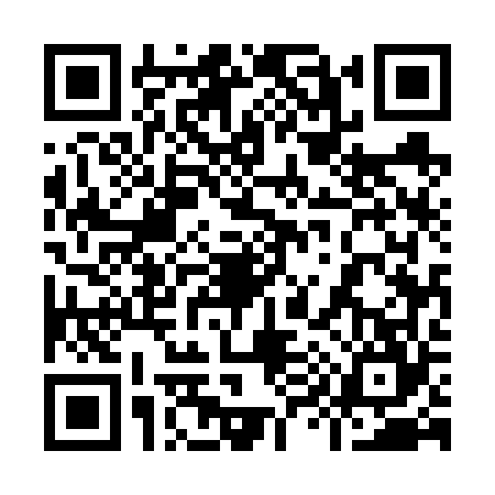 QR code for 9956641