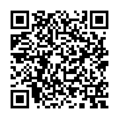 QR code for 9991113
