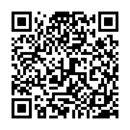 QR code for 999333