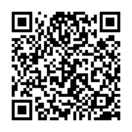 QR code for 999529