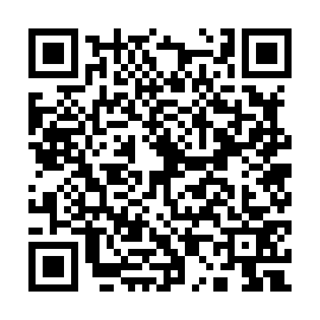 QR code for A078733