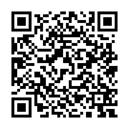 QR code for A117234