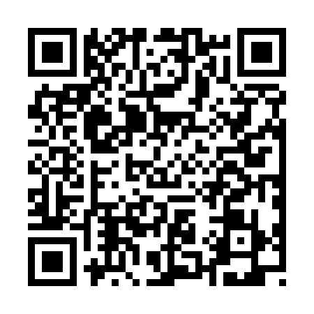 QR code for A125394