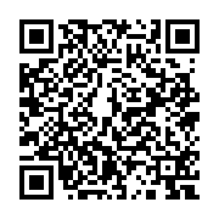 QR code for A213128