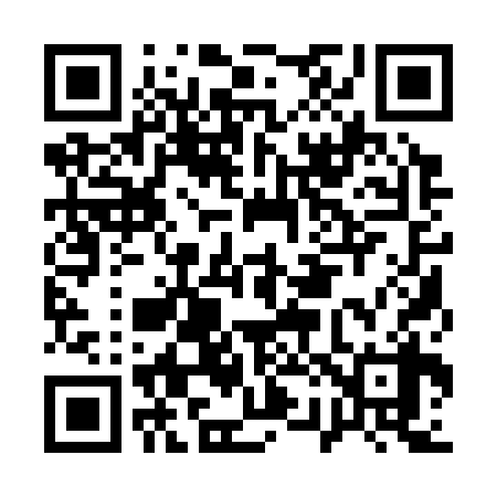 QR code for A21338