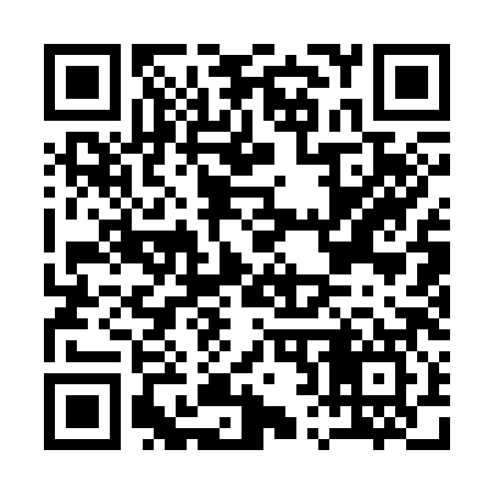 QR code for A21387